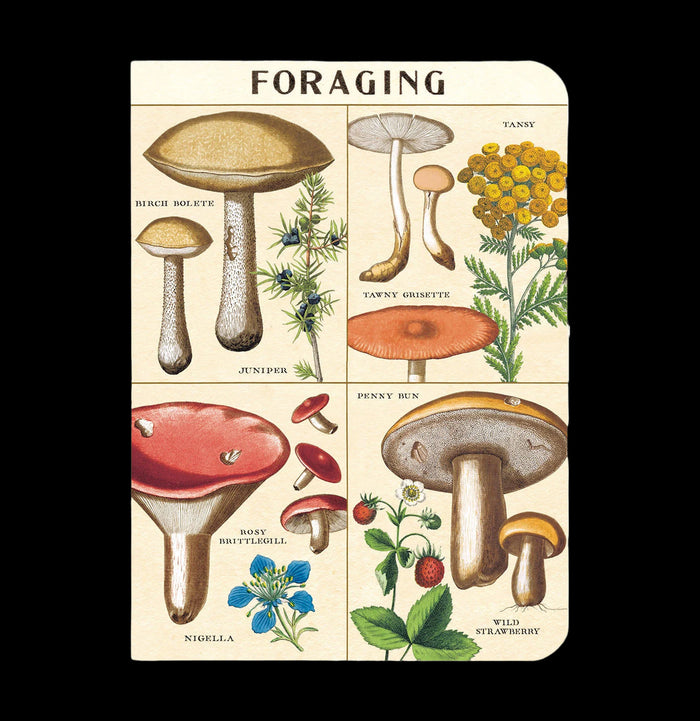 Foraging Mini Notebooks-Office-Cavallini & Co.-PaxtonGate
