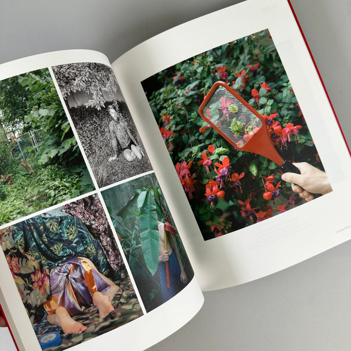 Papersafe Issue #7: The Wild
