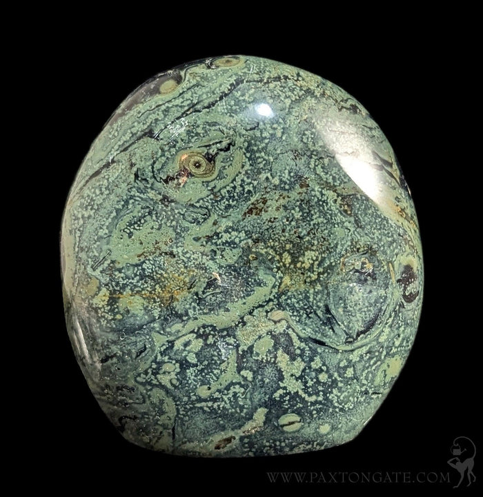 Polished Kambaba Jasper-Minerals-Madagascar Treasures-PaxtonGate