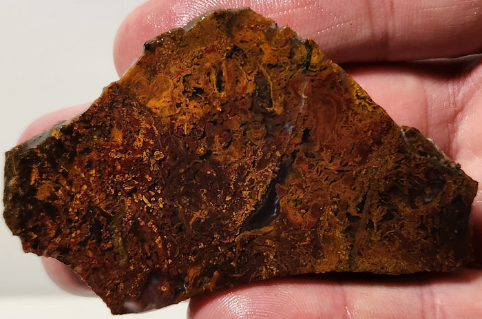 Bloody Basin Plume Agate Slab (End Piece)