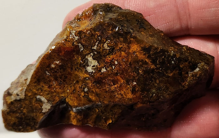 Bloody Basin Plume Agate Slab (End Piece)
