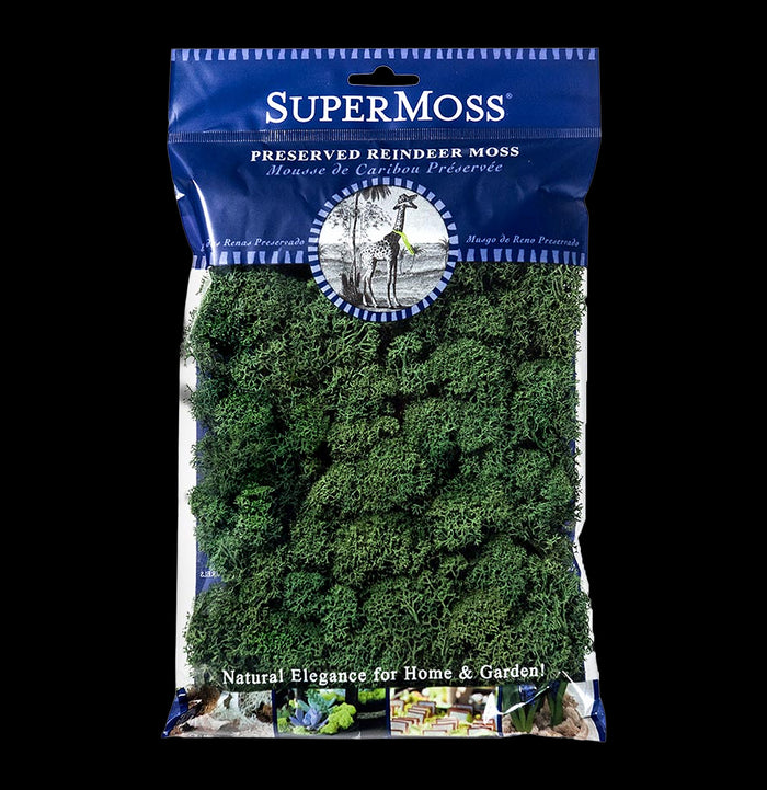 SuperMoss Reindeer Moss-Garden Supplies-BFG-PaxtonGate