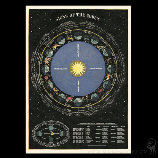 Zodiac Chart Poster Wrap - Paxton Gate